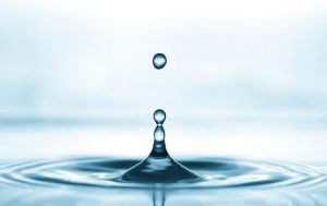 Conferma iscrizione 177